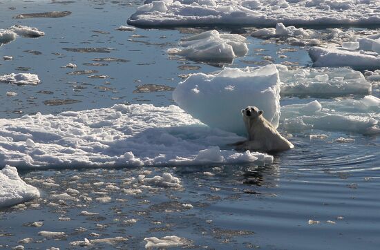 Russian Arctic National Park expedition
