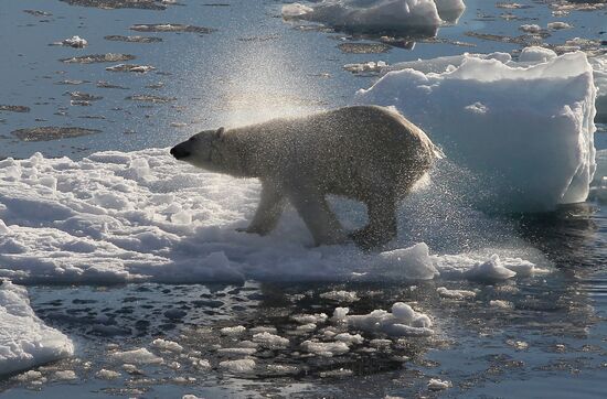 Russian Arctic National Park expedition