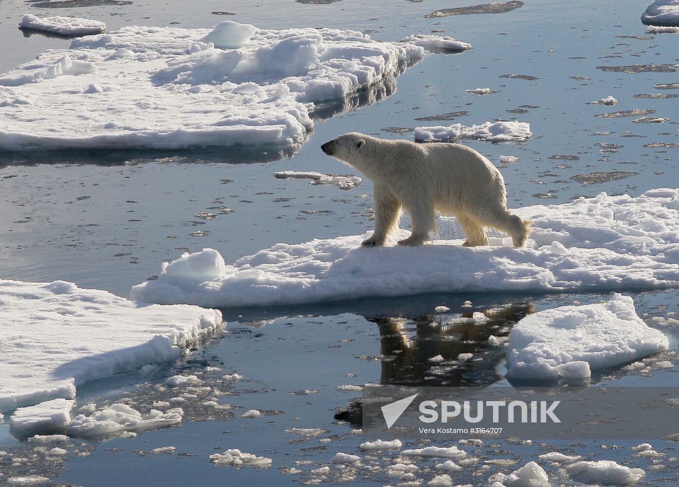Russian Arctic National Park expedition