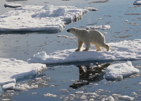 Russian Arctic National Park expedition