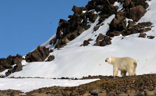 Russian Arctic National Park expedition