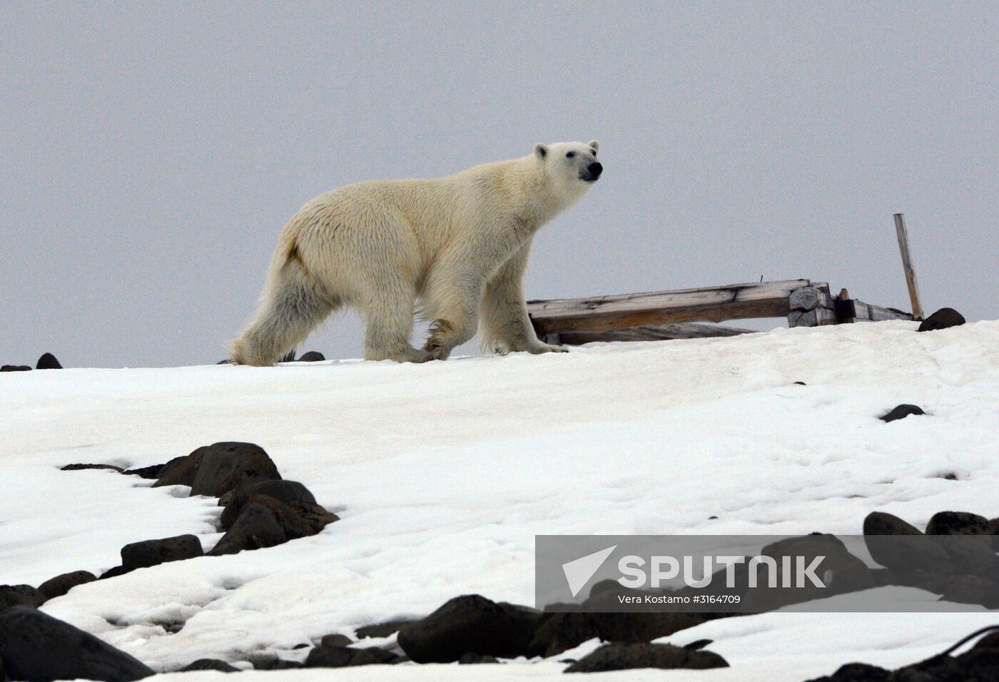 Russian Arctic National Park expedition
