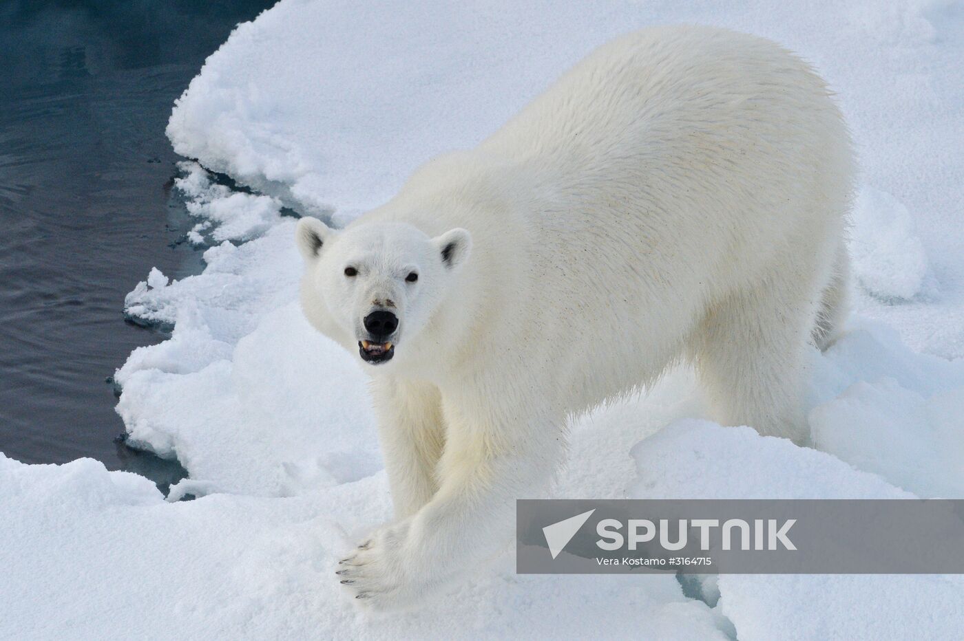 Russian Arctic National Park expedition