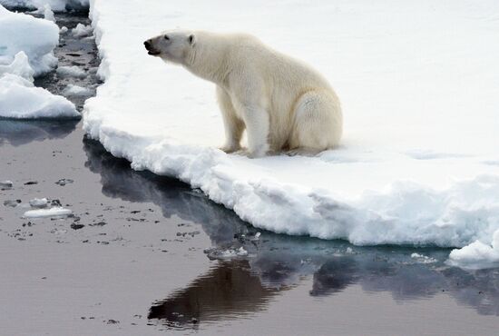 Russian Arctic National Park expedition