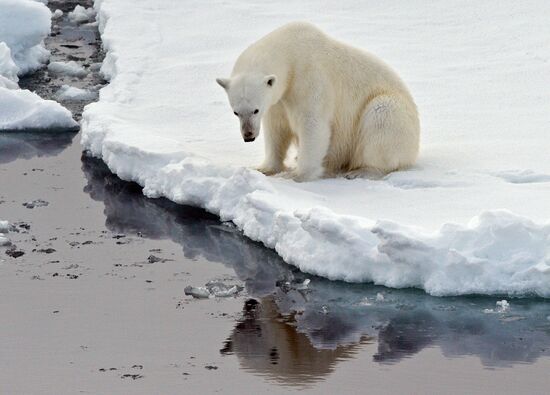 Russian Arctic National Park expedition