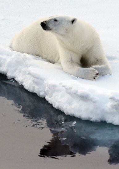 Russian Arctic National Park expedition