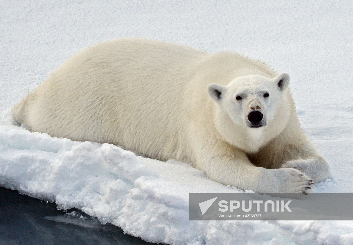 Russian Arctic National Park expedition