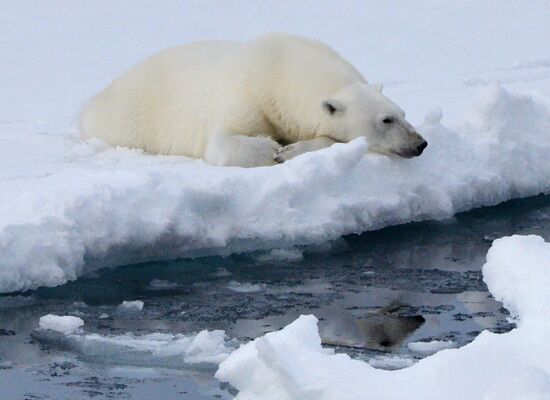Russian Arctic National Park expedition