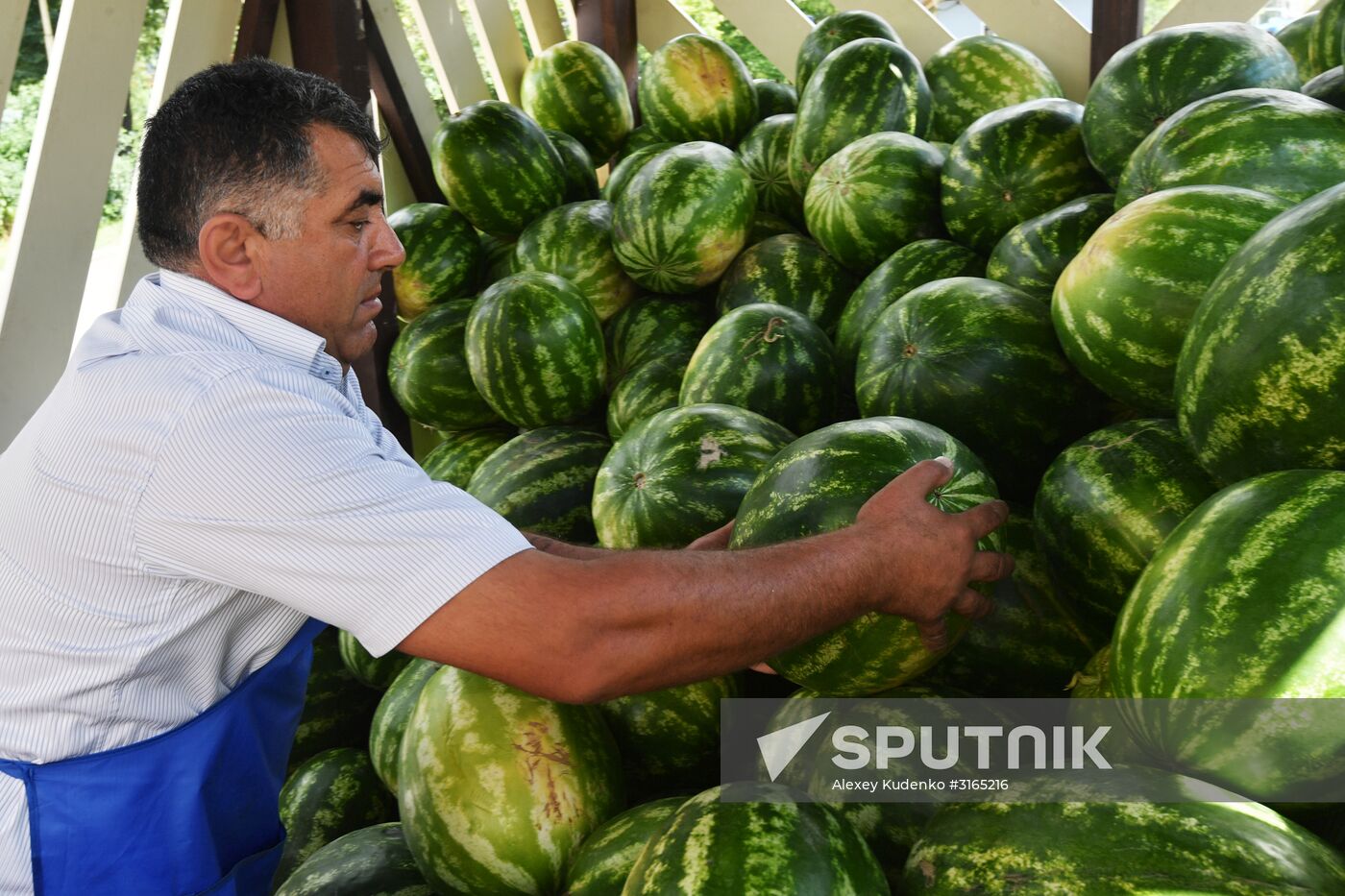 Watermelon sale in Moscow