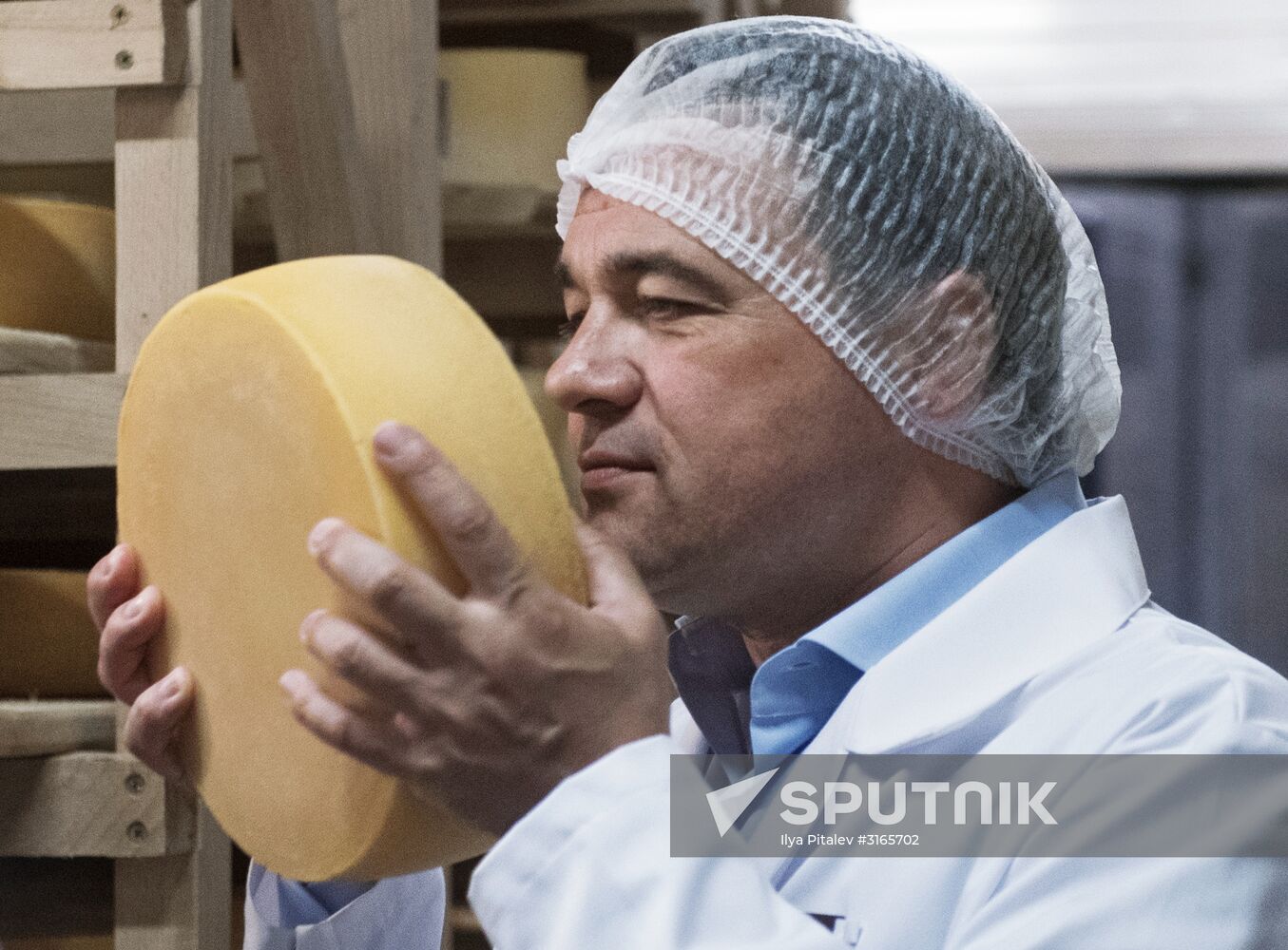 Festival of cheesemaking farmers in Moscow Region