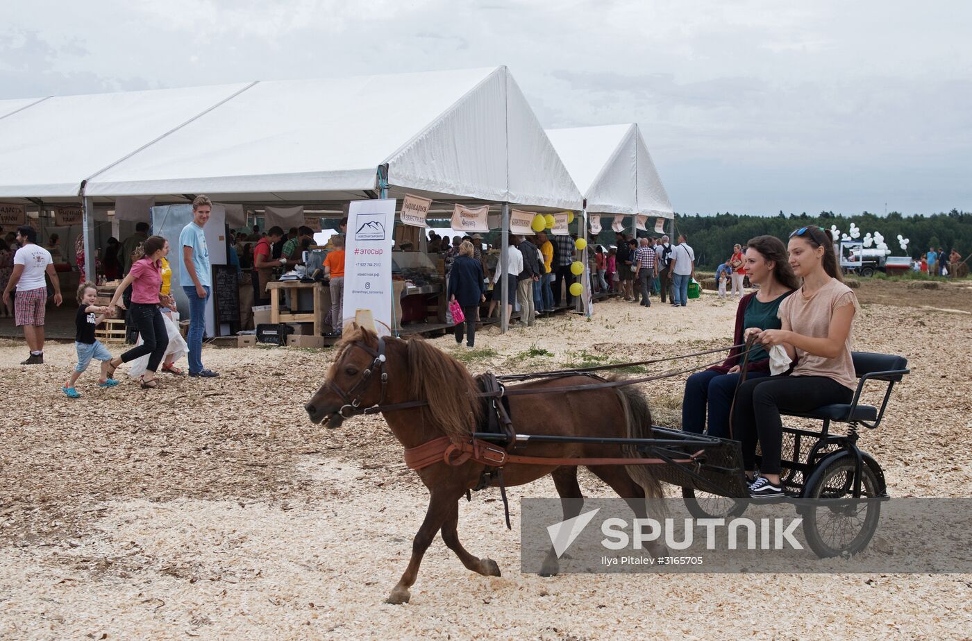 Festival of cheesemaking farmers in Moscow Region
