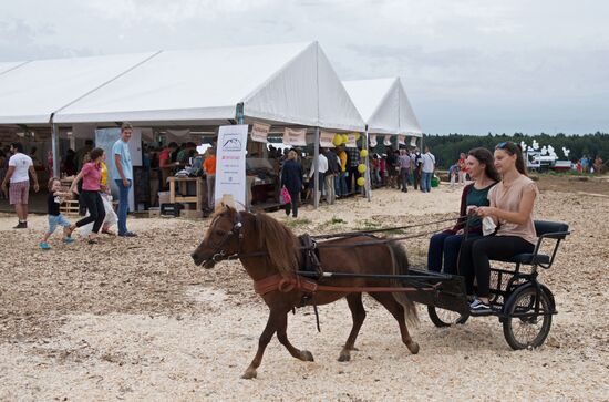 Festival of cheesemaking farmers in Moscow Region