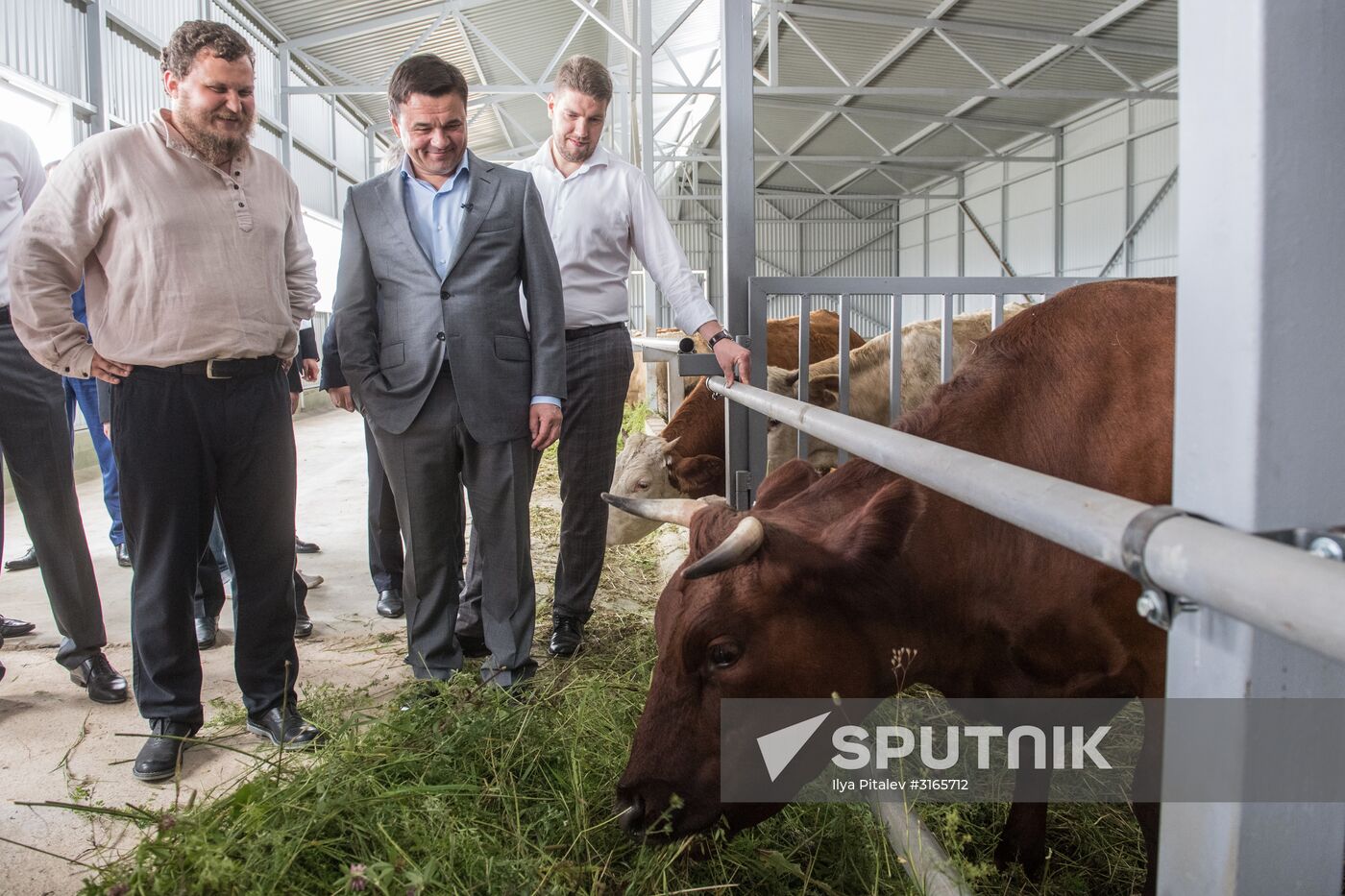 Festival of cheesemaking farmers in Moscow Region