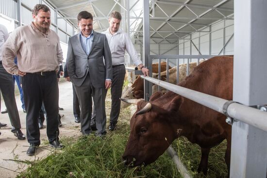 Festival of cheesemaking farmers in Moscow Region