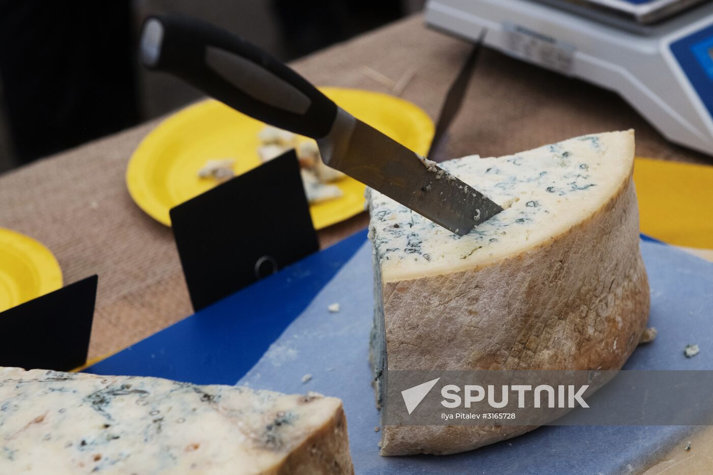 Festival of cheesemaking farmers in Moscow Region