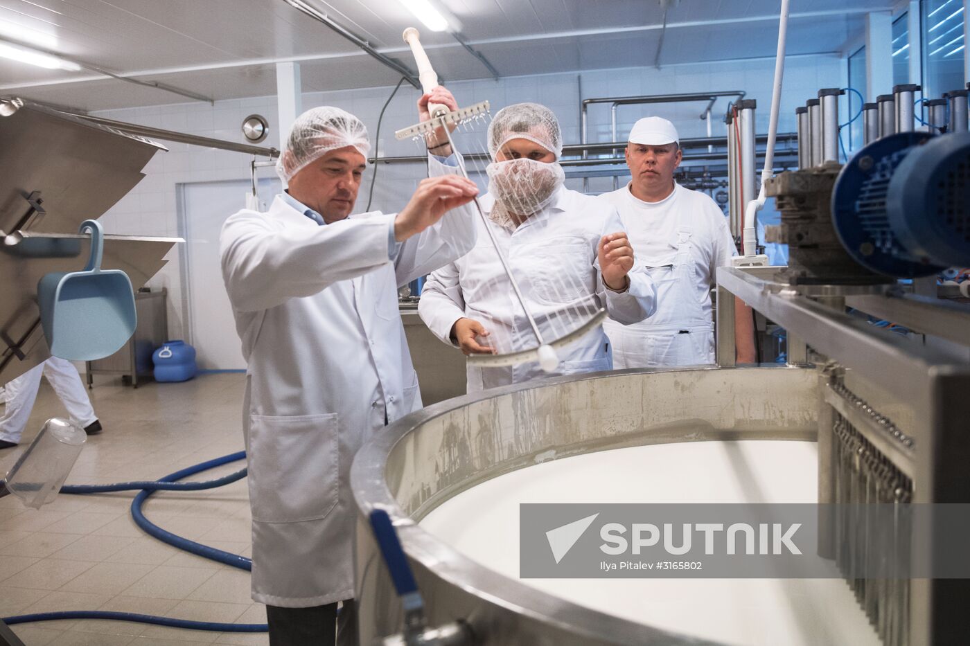 Festival of cheesemaking farmers in Moscow Region