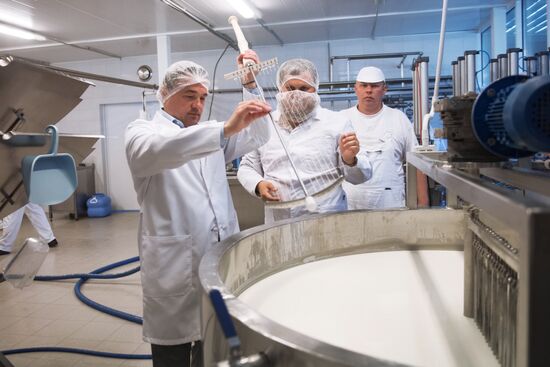 Festival of cheesemaking farmers in Moscow Region