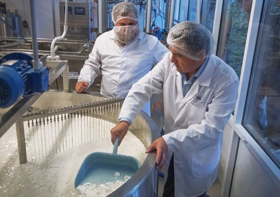 Festival of cheesemaking farmers in Moscow Region