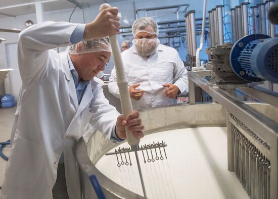 Festival of cheesemaking farmers in Moscow Region