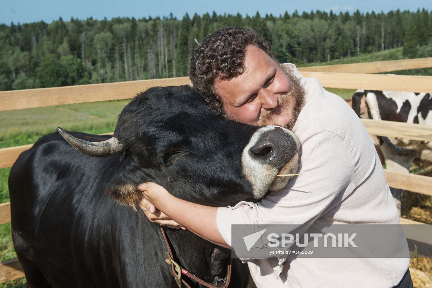 Festival of cheesemaking farmers in Moscow Region