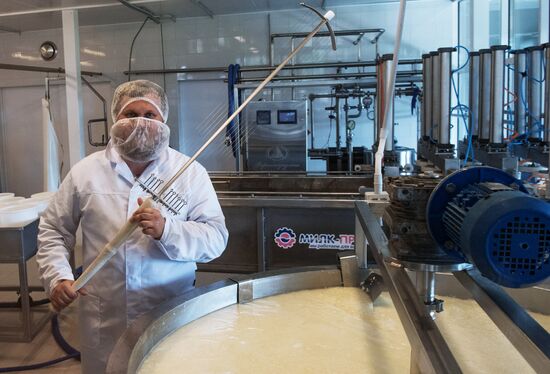 Festival of cheesemaking farmers in Moscow Region