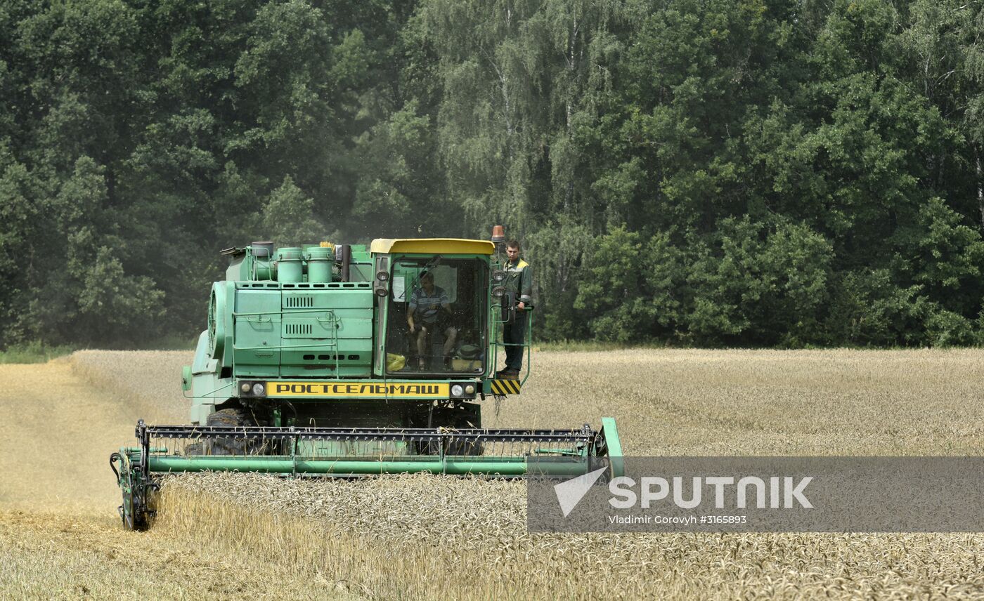 Grain harvesting in Bryansk Region