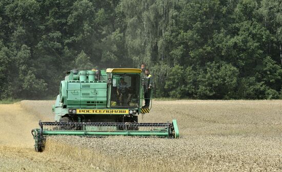 Grain harvesting in Bryansk Region