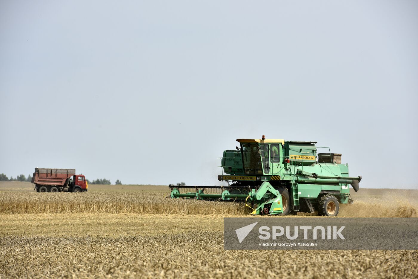 Grain harvesting in Bryansk Region