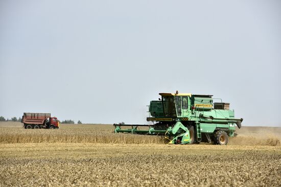 Grain harvesting in Bryansk Region