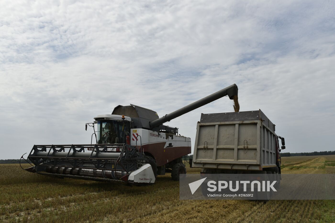 Grain harvesting in Bryansk Region