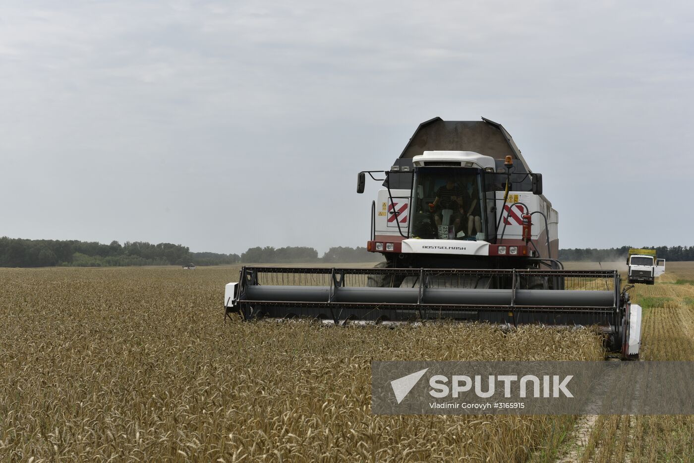 Grain harvesting in Bryansk Region