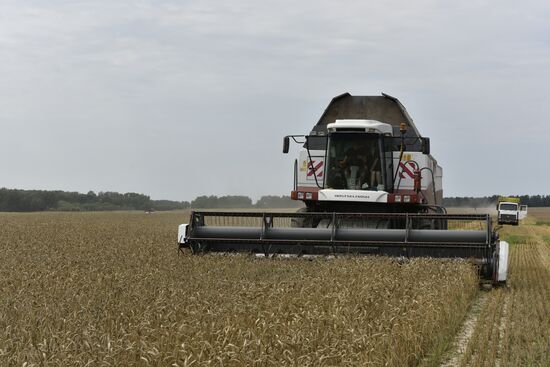 Grain harvesting in Bryansk Region