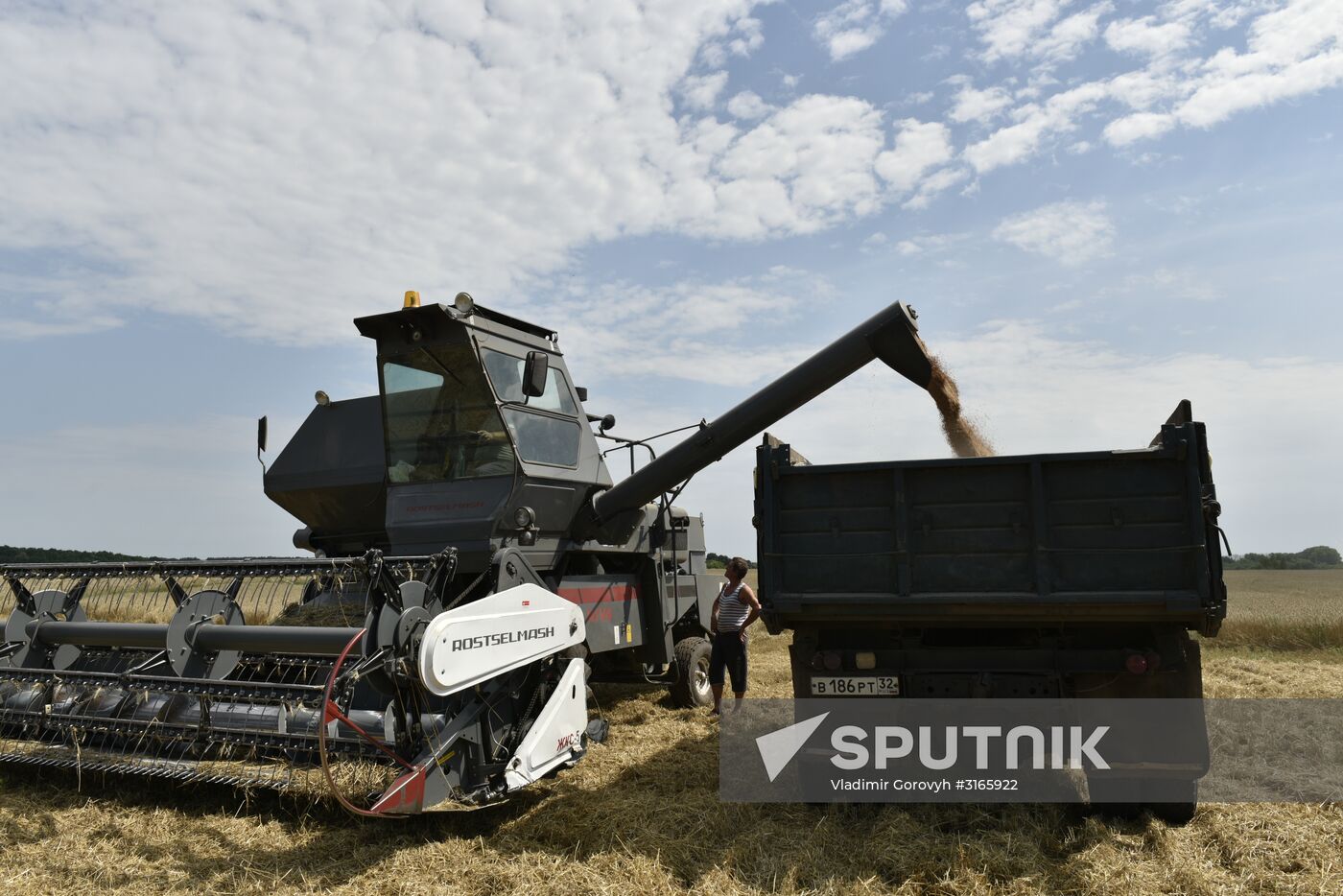 Grain harvesting in Bryansk Region