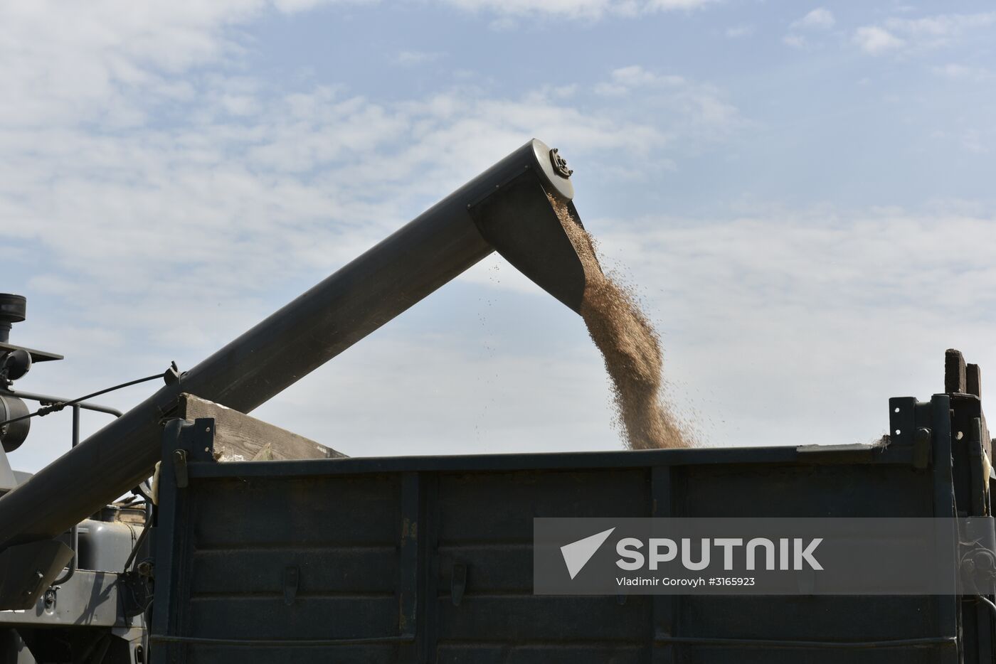 Grain harvesting in Bryansk Region