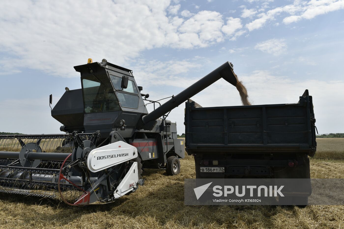 Grain harvesting in Bryansk Region