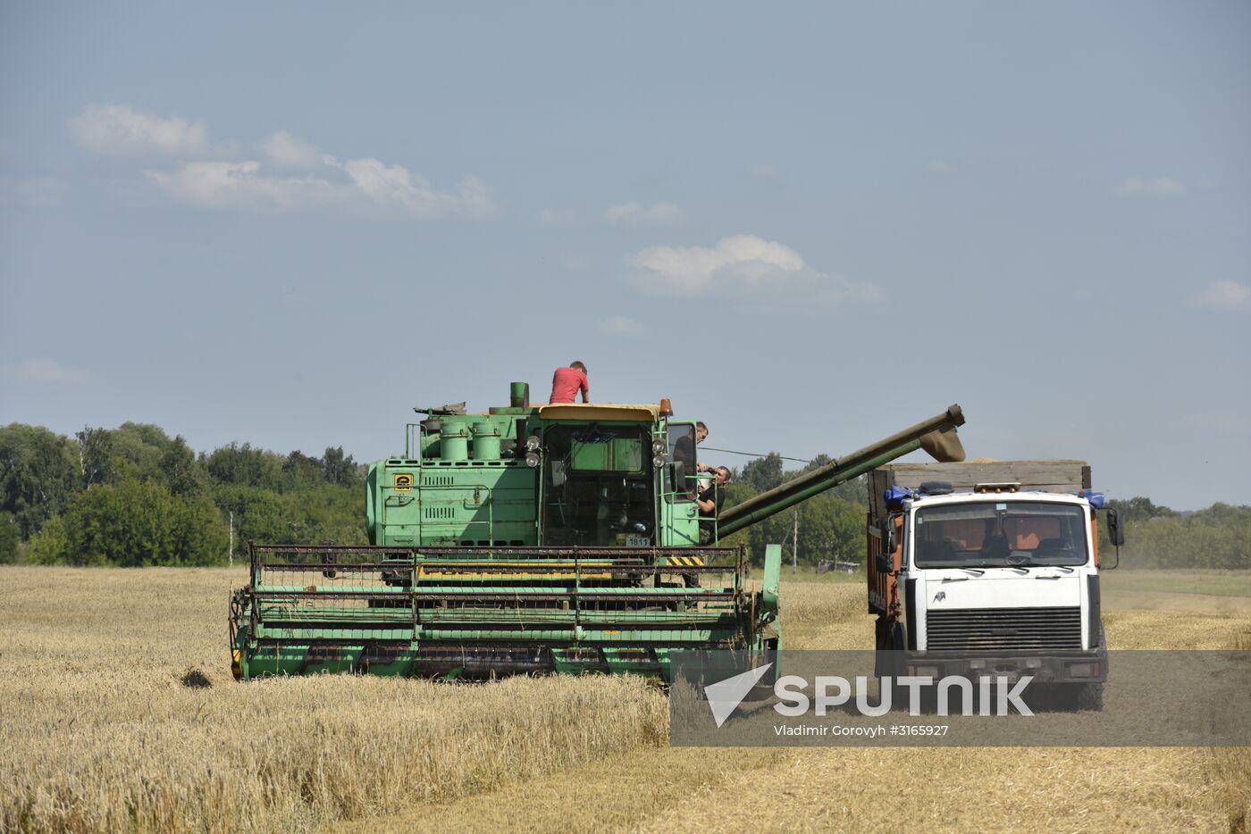 Grain harvesting in Bryansk Region