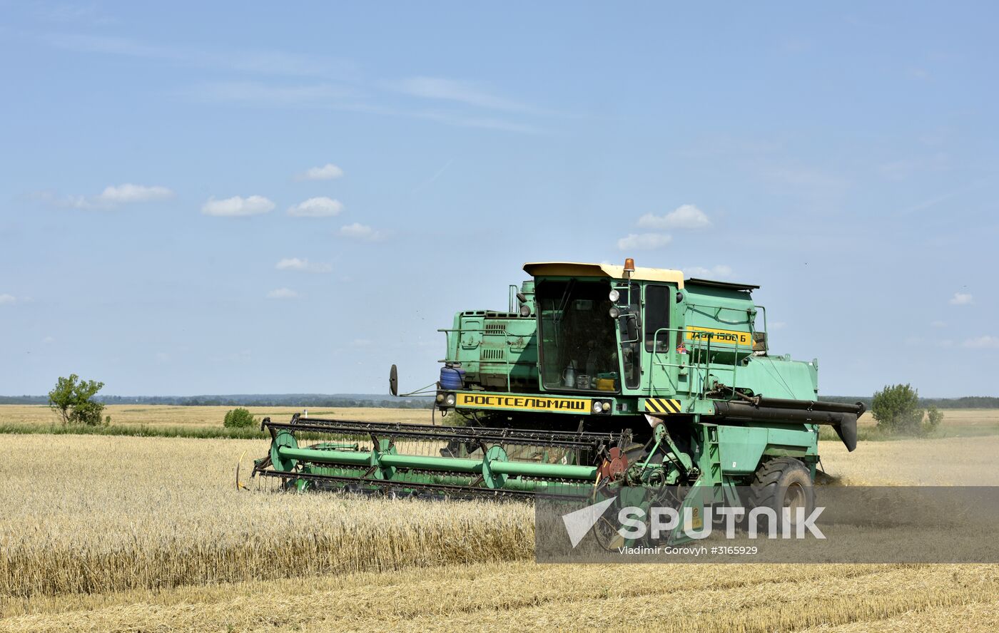 Grain harvesting in Bryansk Region