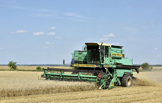 Grain harvesting in Bryansk Region