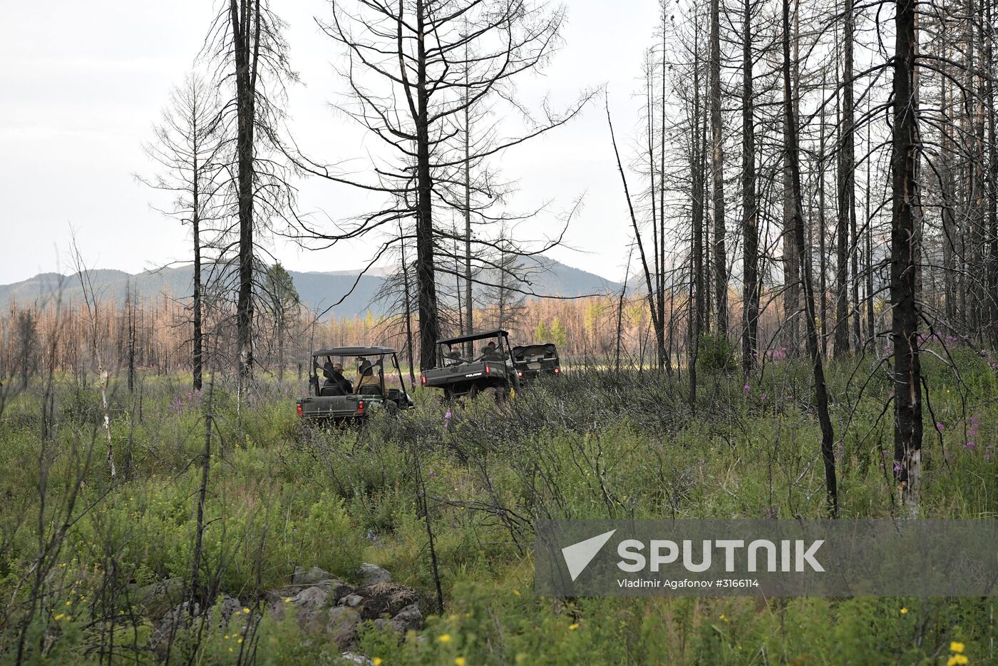 Russian President Vladimir Putin on vacation in Republic of Tyva