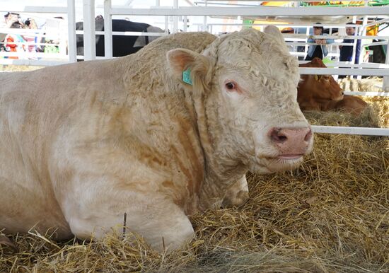 Baltic Field Day 2017 agro-industrial festival