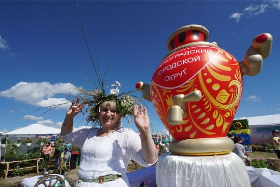 Baltic Field Day 2017 agro-industrial festival