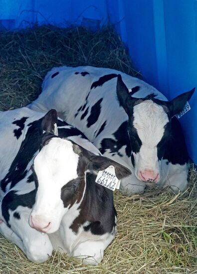 Baltic Field Day 2017 agro-industrial festival