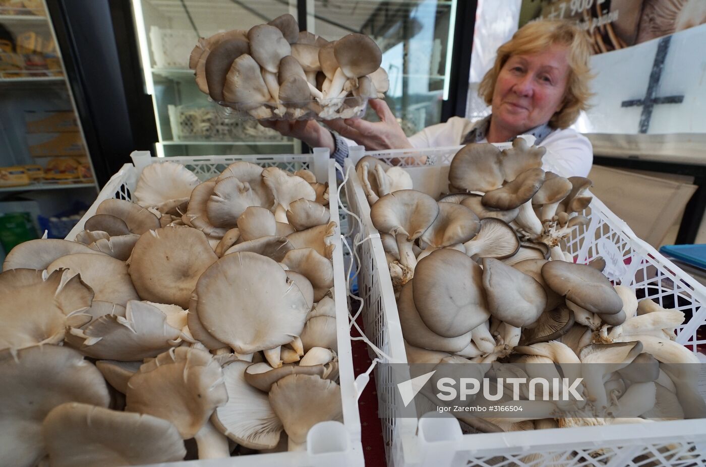 Baltic Field Day 2017 agro-industrial festival