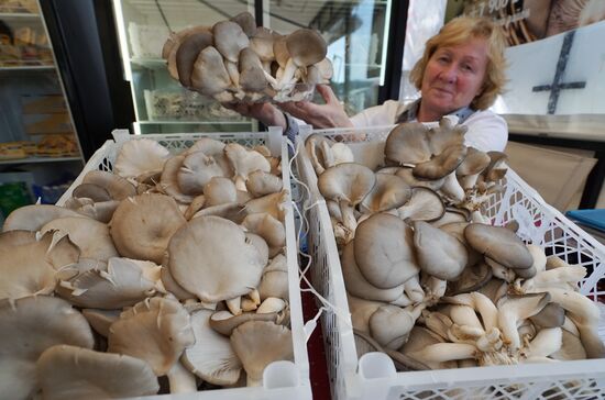 Baltic Field Day 2017 agro-industrial festival