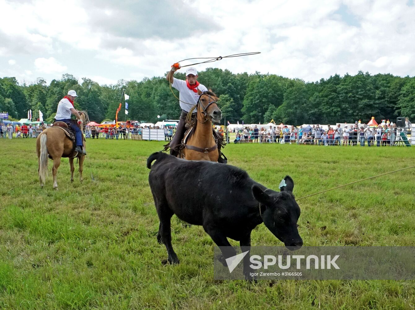 Baltic Field Day 2017 agro-industrial festival
