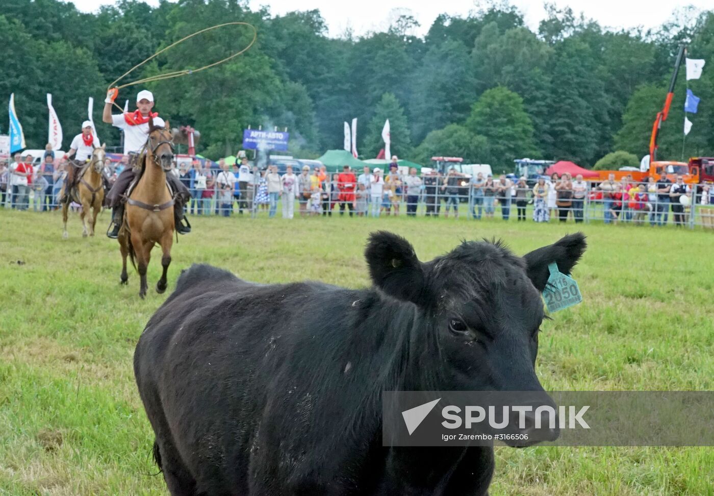 Baltic Field Day 2017 agro-industrial festival