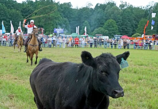 Baltic Field Day 2017 agro-industrial festival