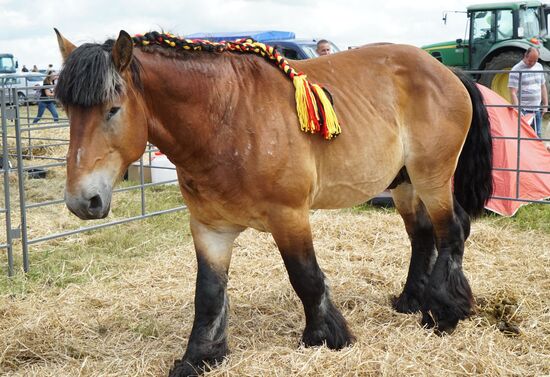 Baltic Field Day 2017 agro-industrial festival