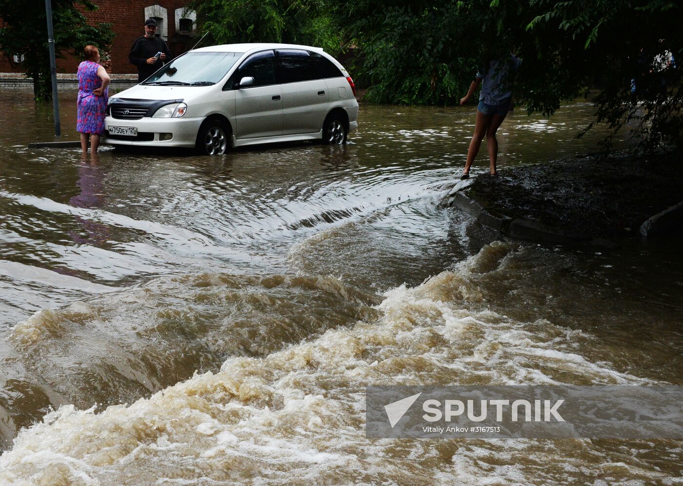 Aftermath of torrential rains in Primorye Territory