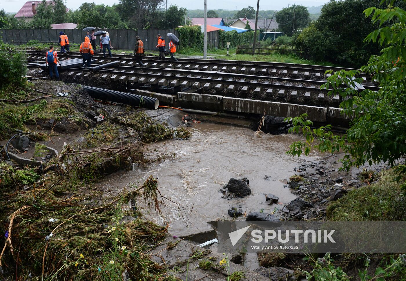 Aftermath of torrential rains in Primorye Territory